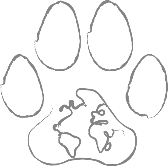 logo-oeil-de-lynx