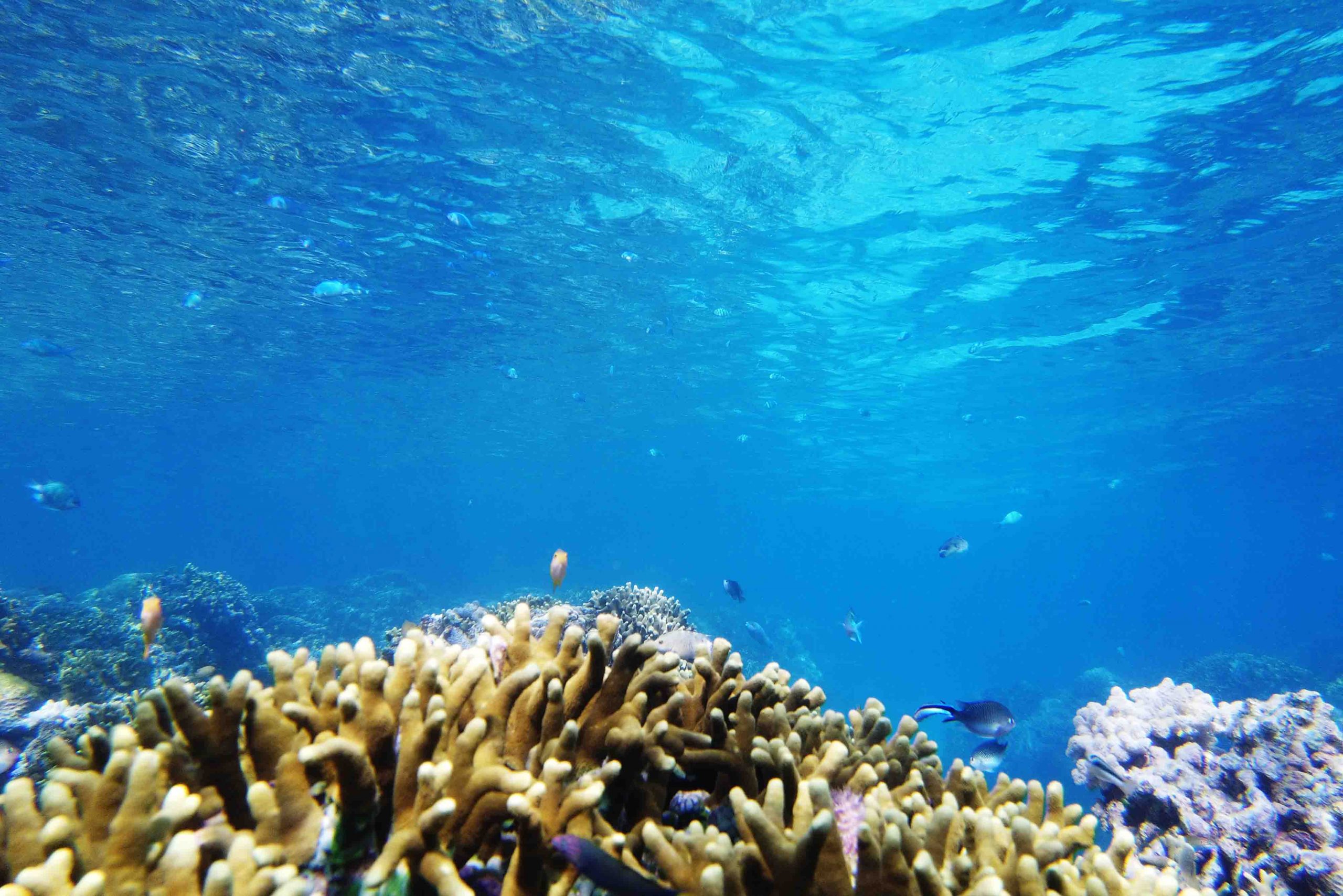 TUBOD MARINE SANCTUARY