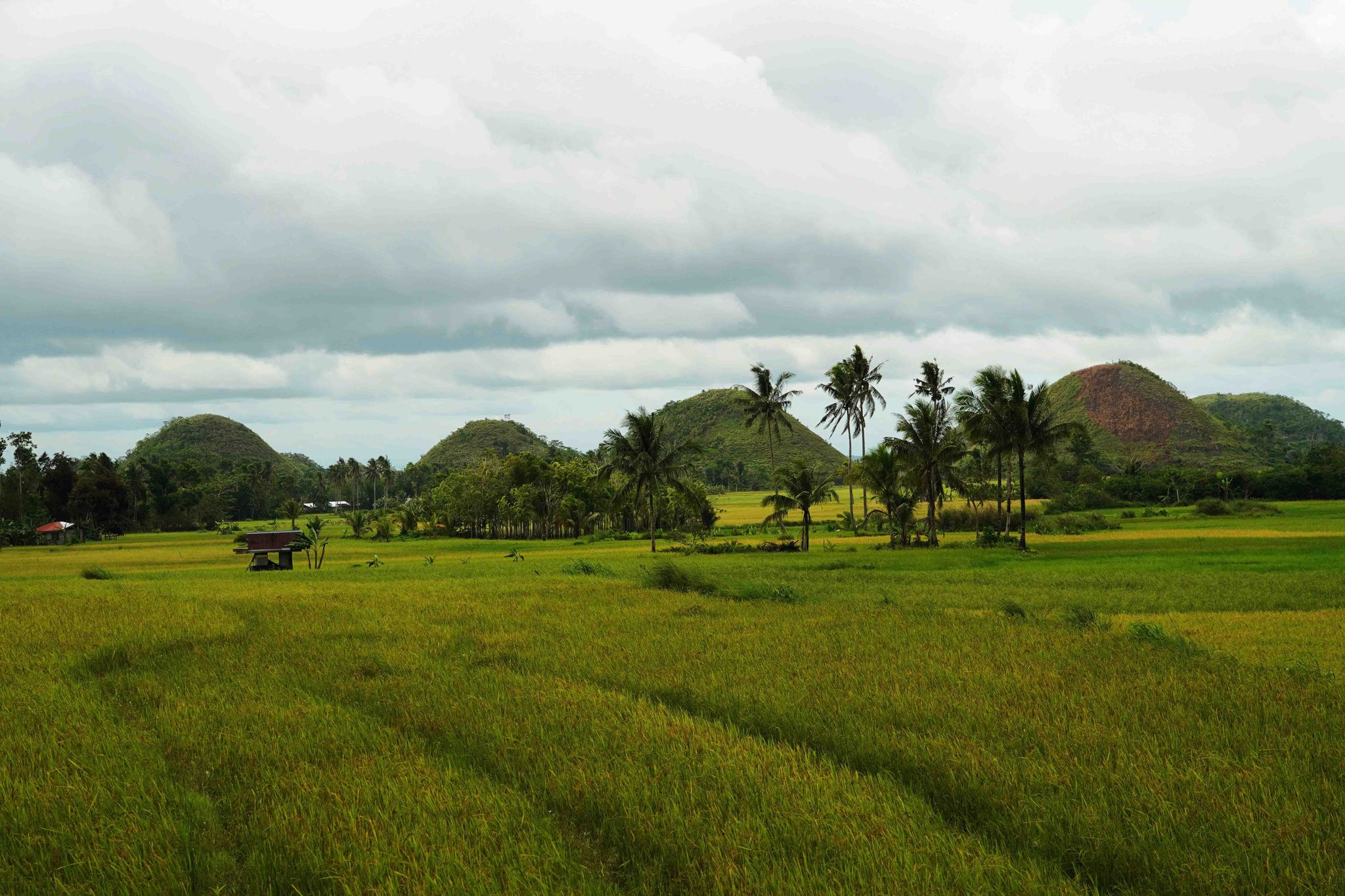 CHOCOLATE HILLS EN SCOOTER