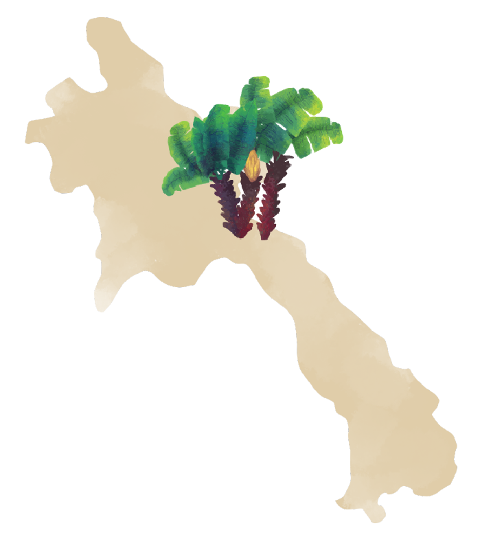 LAOS