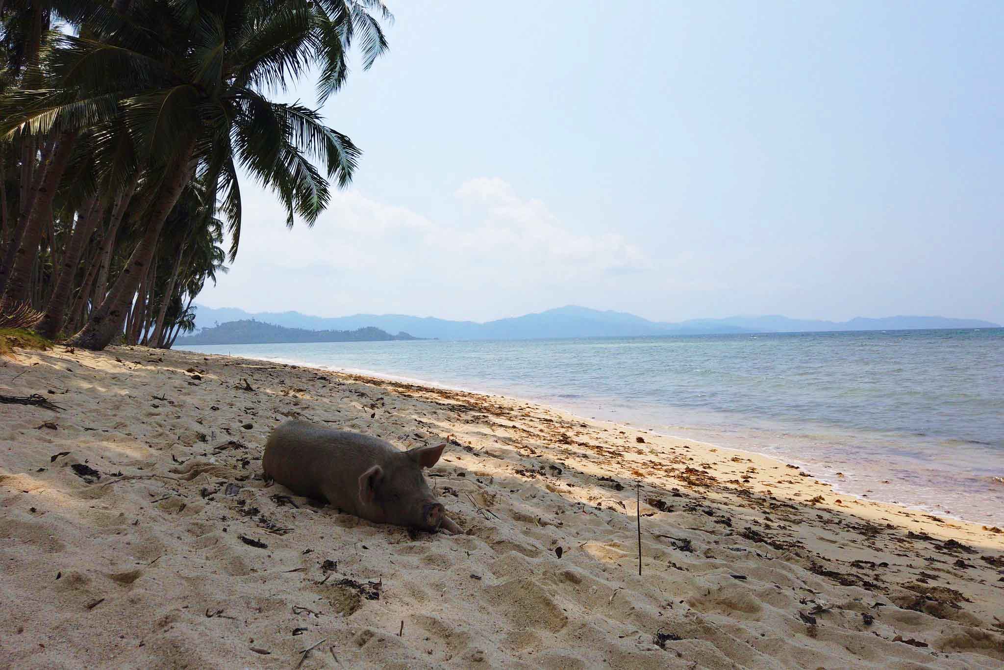 COCONUT BEACH